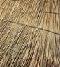 thatch re-thatch price