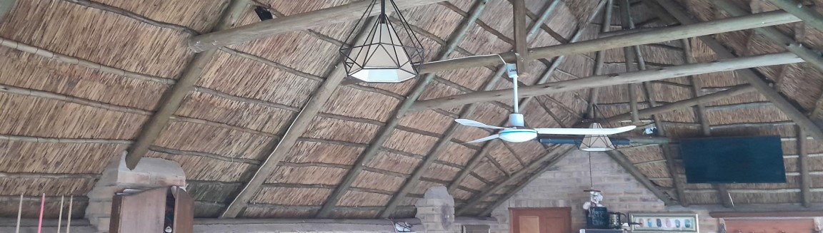 thatch